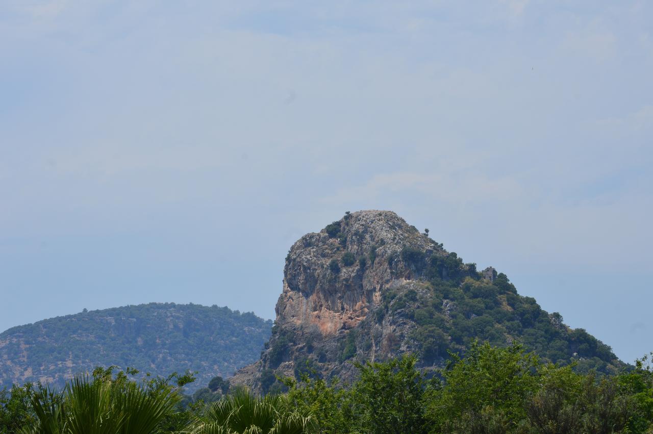 Erasmus Apart Hotel Dalyan Ngoại thất bức ảnh