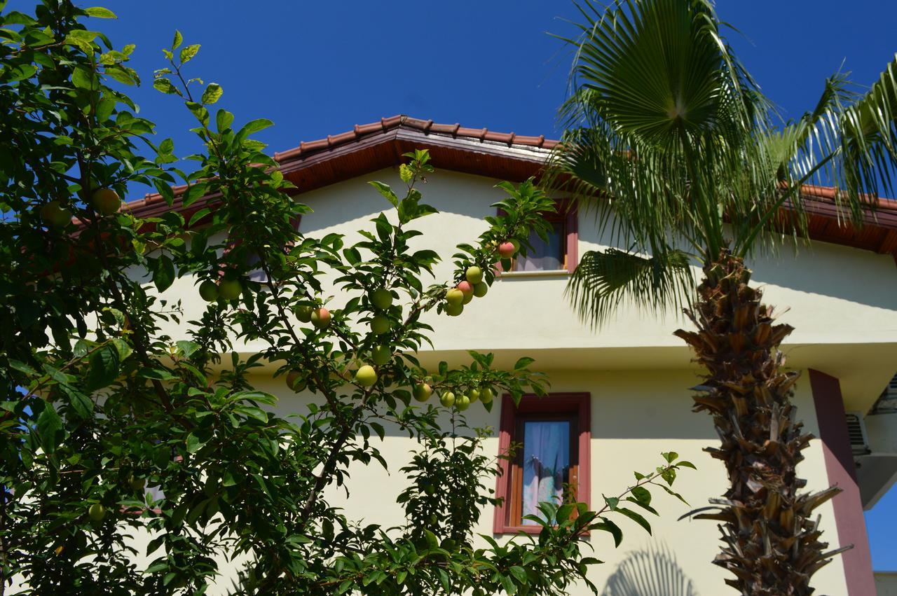 Erasmus Apart Hotel Dalyan Ngoại thất bức ảnh